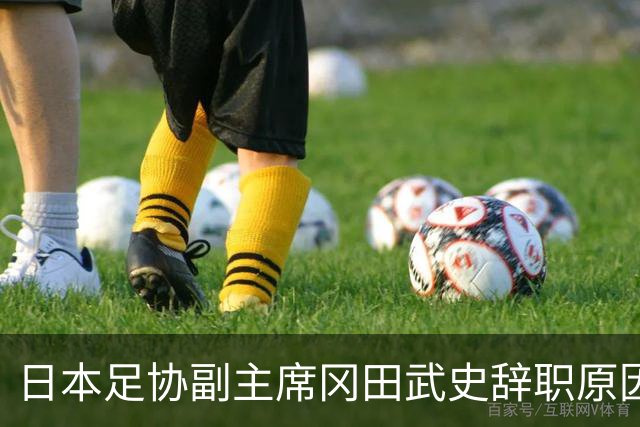 日本足协副主席冈田武史辞职原因分析及其引发的影响