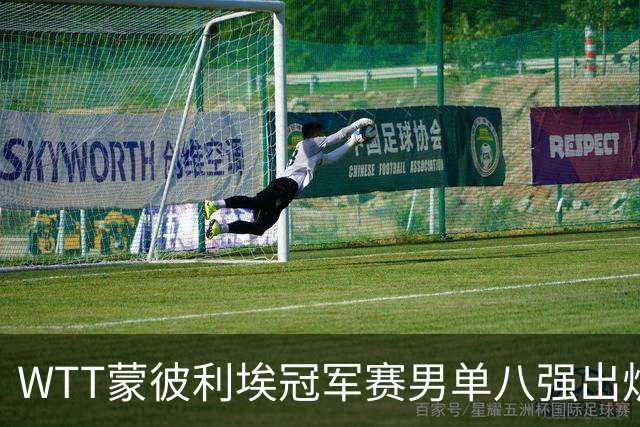 WTT蒙彼利埃冠军赛男单八强出炉：热门选手接连出局，国乒表现优异